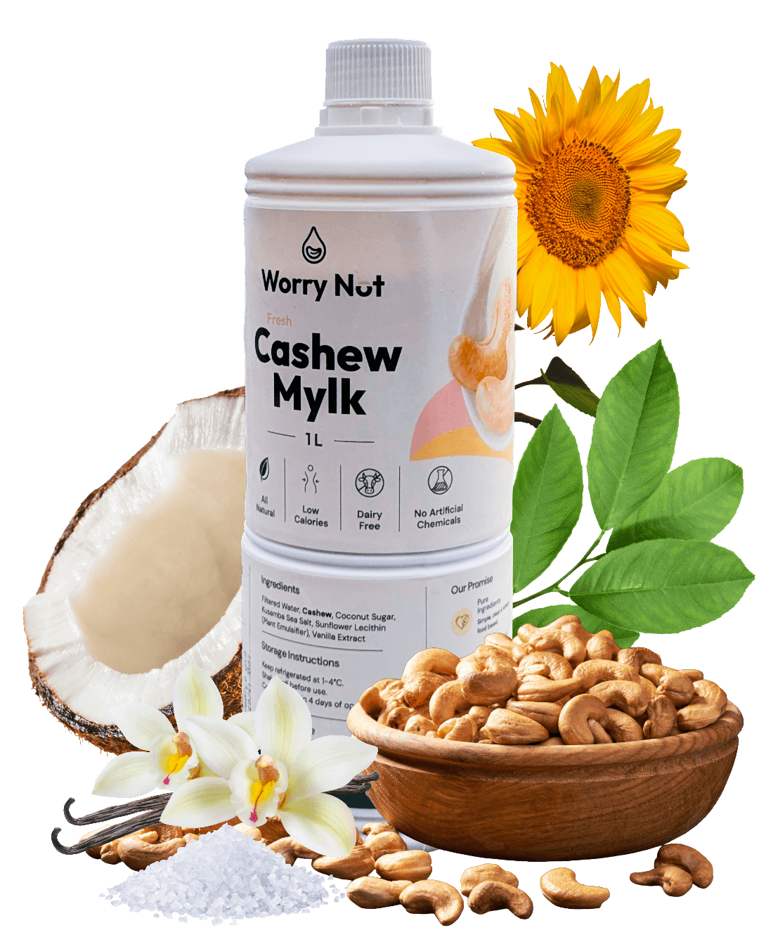 Worry Nut ingredients: fresh cashews, coconut, Kusamba sea salt, and vanilla